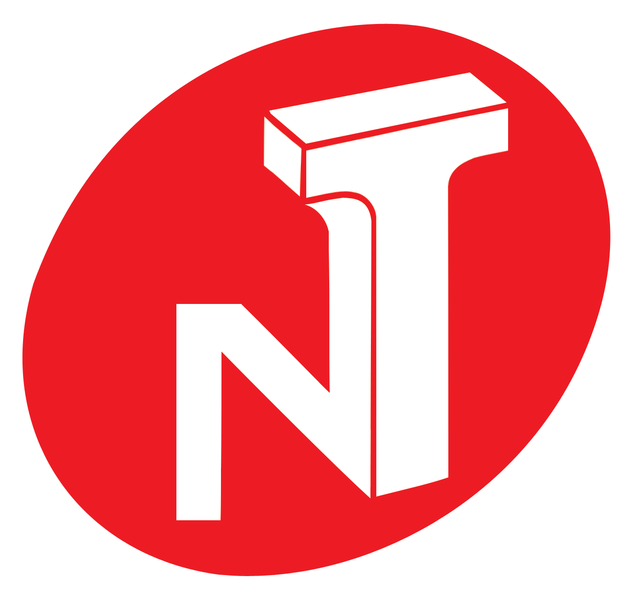 NTV_Updated Logo_2013.png